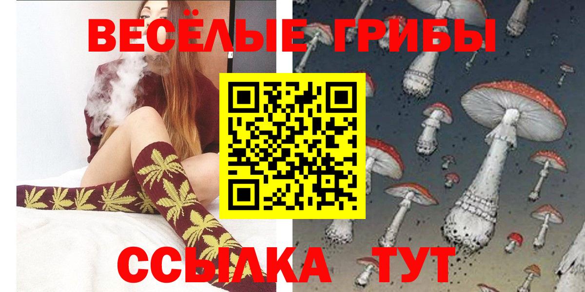 Старая Русса  Псилоцибиновые грибы GOLDEN TEACHER  Вход с VPN 