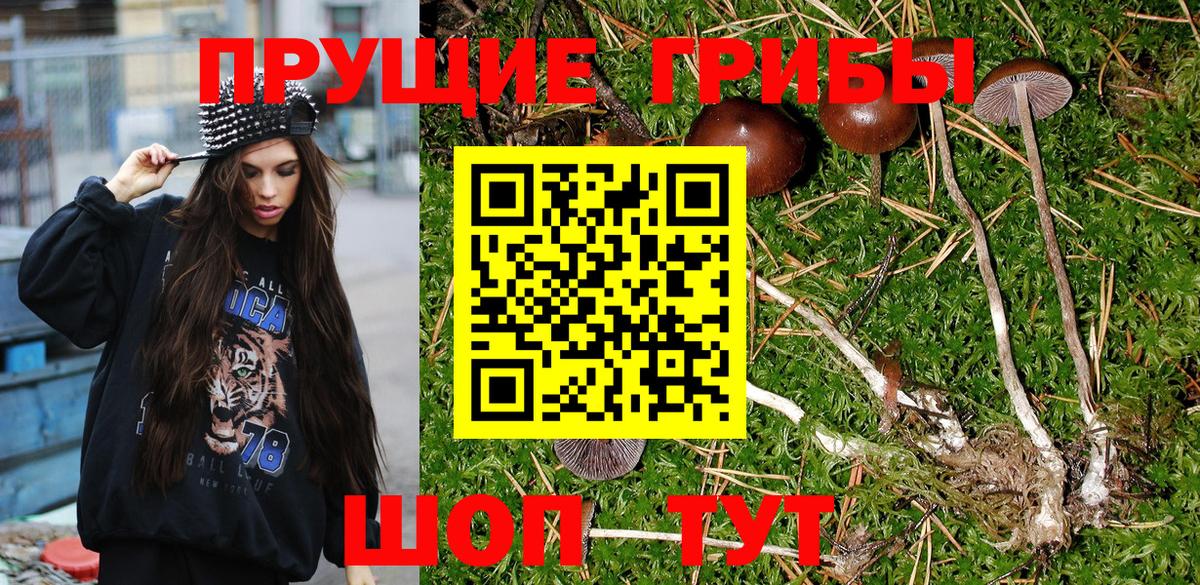 Гашиш  Старая Русса  MDMA  АМФ кристаллы  Меф МЯУ МЯУ   A-PVP СОЛЬ   Вход с VPN 